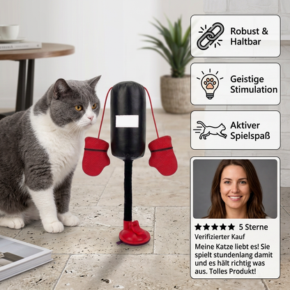 Robustes interaktives Katzen-Boxspielzeug mit Boxsack