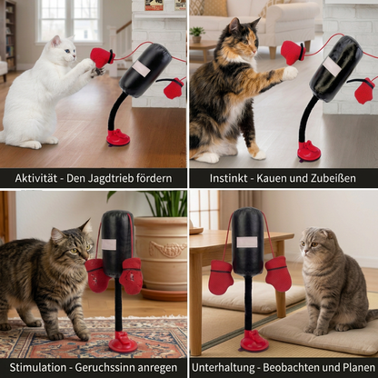 Robustes interaktives Katzen-Boxspielzeug mit Boxsack