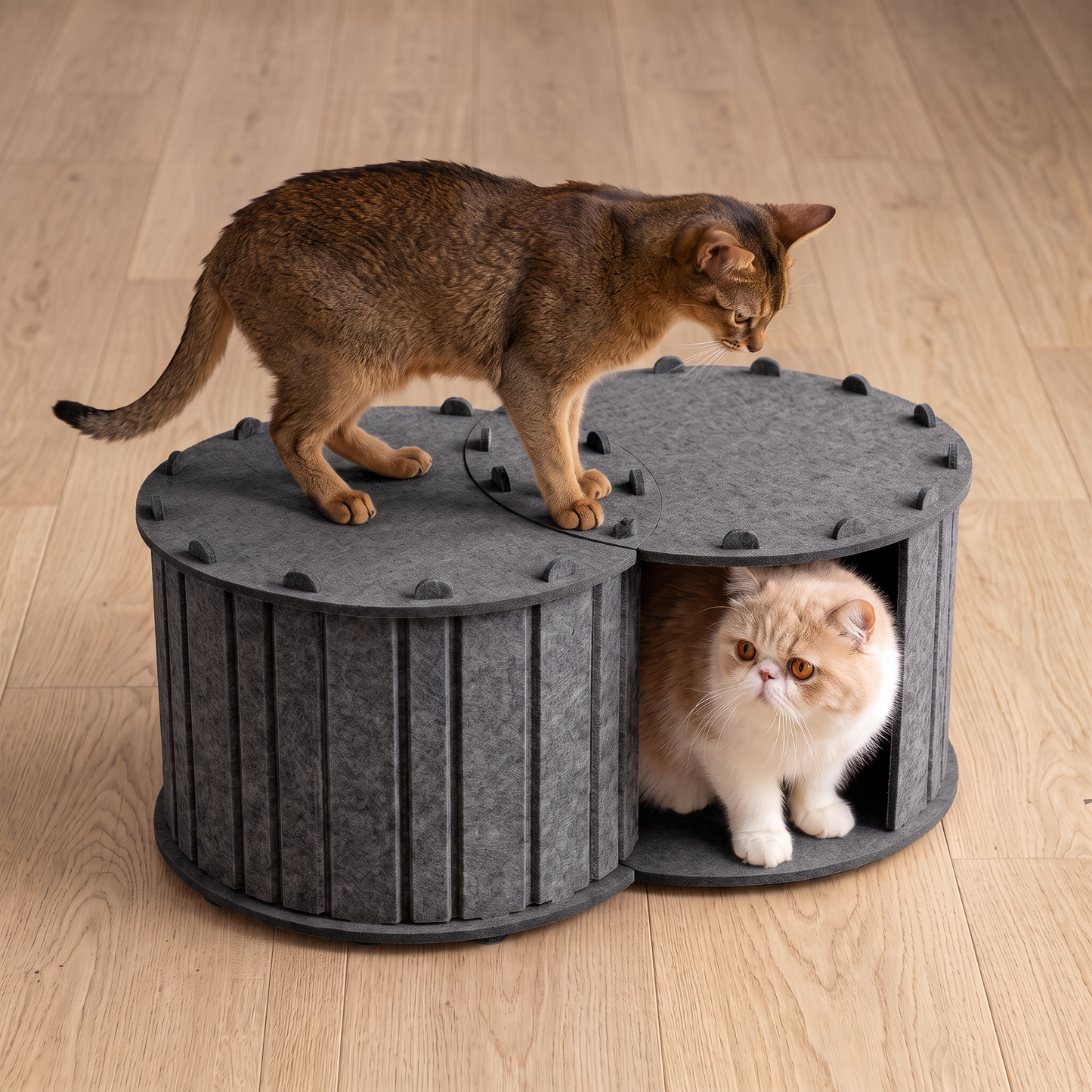 2-in-1 interaktives Katzenbett & Kratzversteck zum Spielen