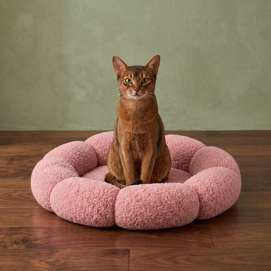 Luxuriöses flauschiges Donut-Katzenbett mit Blumenmuster – Weiches & waschbares Rundkissen