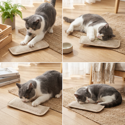 Natürliches Katzenminze Spiel Kratzpad aus Hanfseil für Krallen- und Zahnpflege