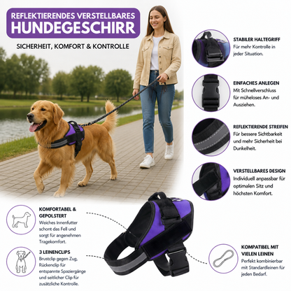 Reflektierendes verstellbares Hundegeschirr mit 3 Leinenclips – Gepolstert für Spaziergänge & Training