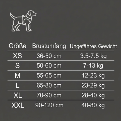 Reflektierendes verstellbares Hundegeschirr mit 3 Leinenclips – Gepolstert für Spaziergänge & Training