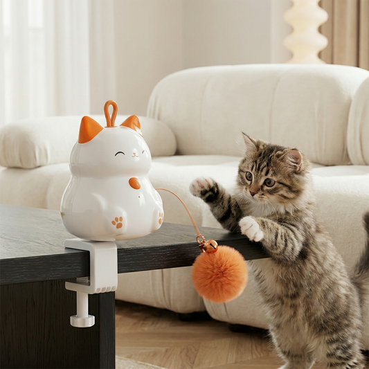 Automatischer Katzen-Spielball mit Liftbewegung – Interaktives Beschäftigungsspielzeug