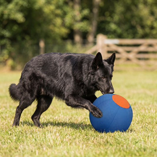 Aufblasbarer, bissfester Hüteball für Hunde – strapazierfähiges, interaktives Spielzeug zum Schieben und Hinterherjagen