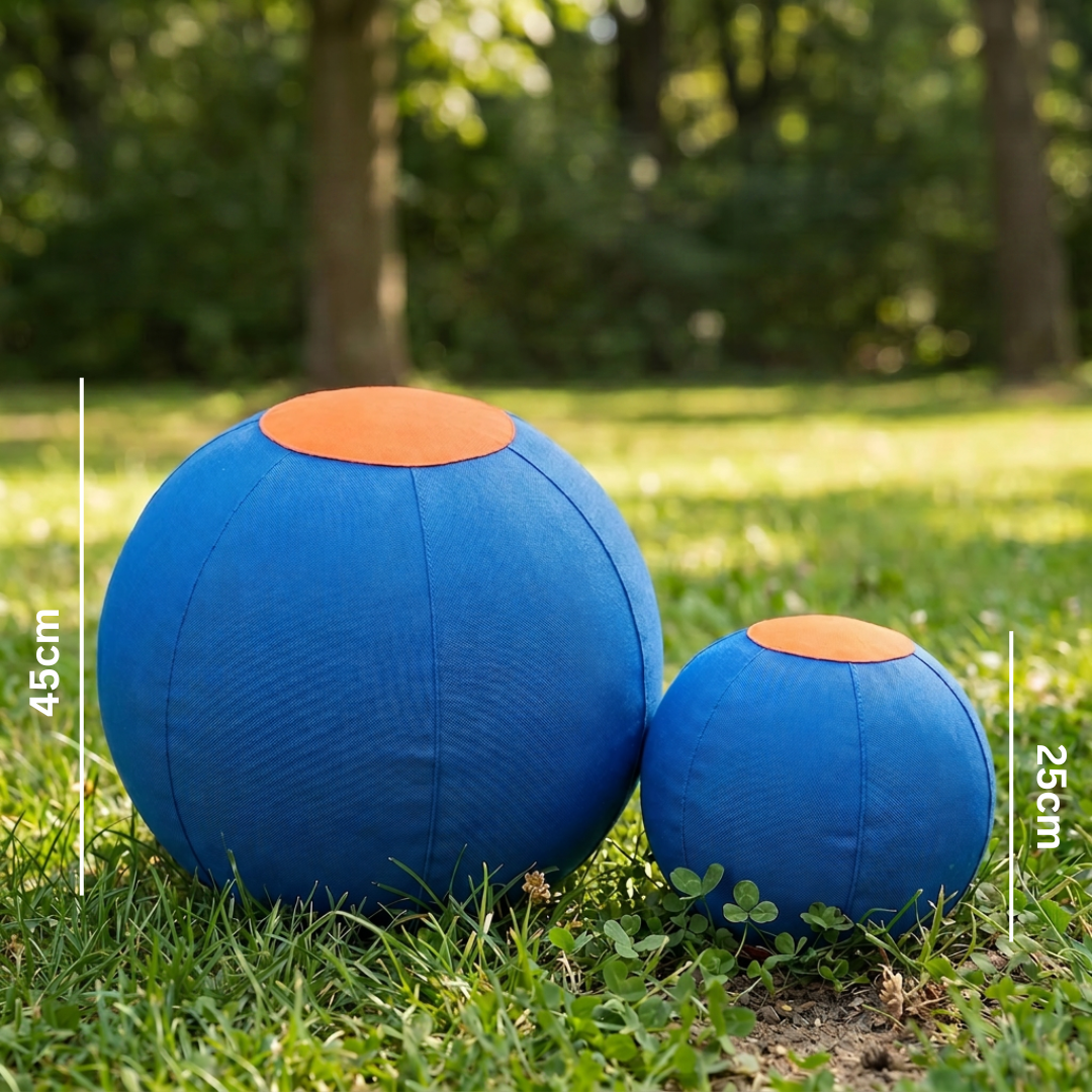 Robuster Trainingsball mit Hülle für Hunde