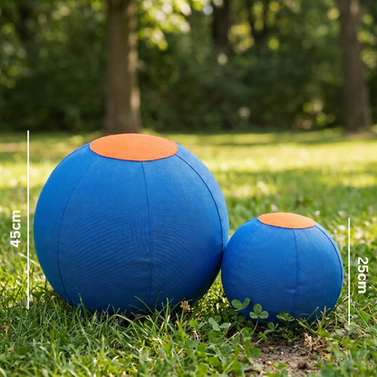 Robuster Trainingsball mit Hülle für Hunde