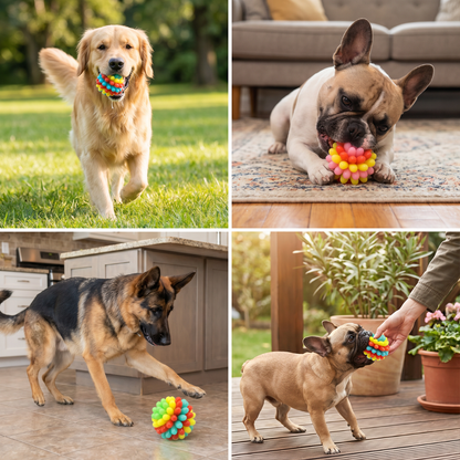 Bunter Hundekau-Ball mit Noppen