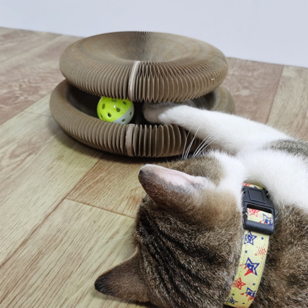 Katzen Kratz und Ball Spielzeug