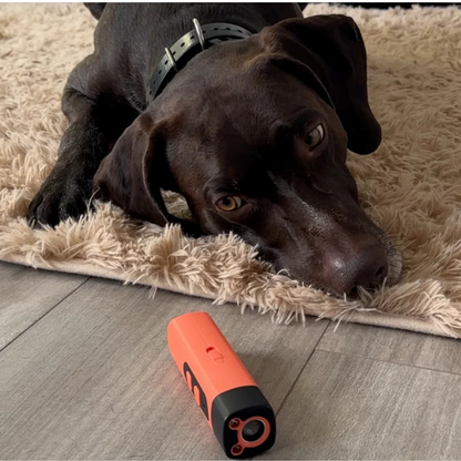 BellSchutz - Hundefreundliches Anti-Bell Ultraschall Gerät