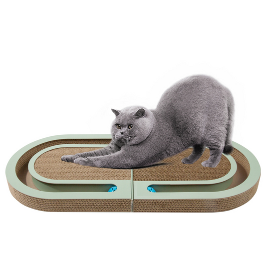 Katzen Kratz- und Spielbett aus Karton
