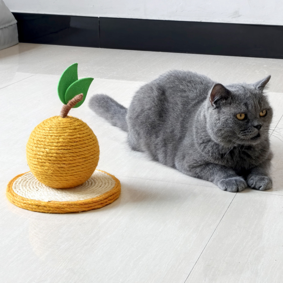 Katzen Kratz Orange aus Sisal