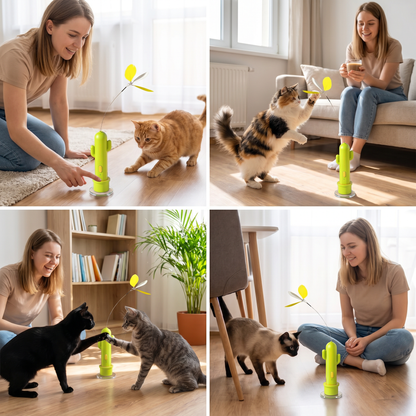 2-in-1-Spielzeug für Katzen: Automatischer Schmetterling und Laser