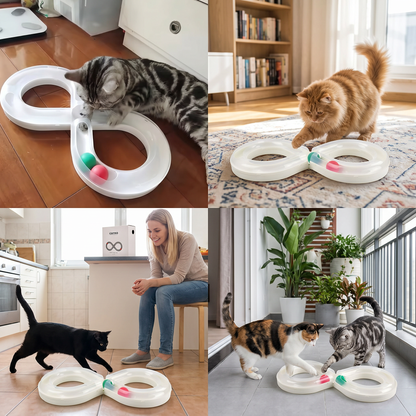 Interaktives Trackball-Spielzeug für Katzen