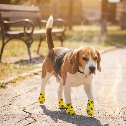 Selbstklebender Verband für Haustiere zum Schutz vor heißem Asphalt und Schnee