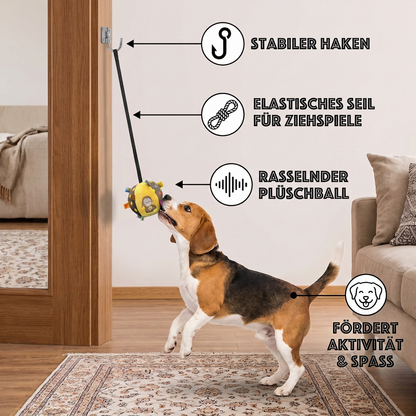 Interaktives hängendes Hundespielzeug mit elastischem Spielseil und Haken