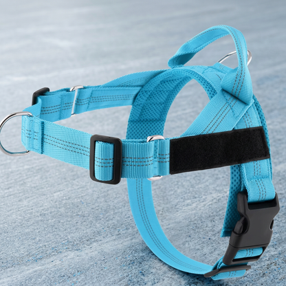 Individuell gestaltetes, reflektierendes No-Pull-Hundegeschirr mit personalisiertem Namensaufnäher
