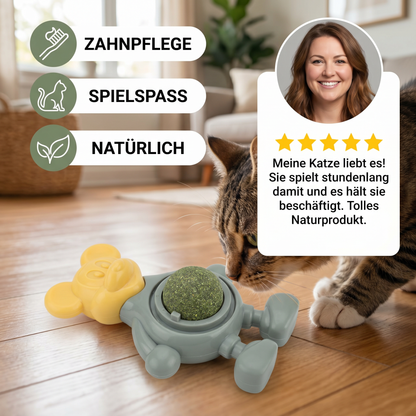 Katzenschnittkraut-Ball als Kauspielzeug