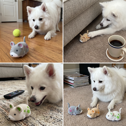 Interaktiver Hamster Indoor Hundespielzeug