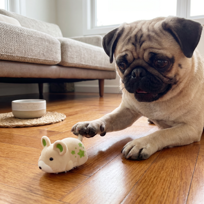 Interaktiver Hamster Indoor Hundespielzeug