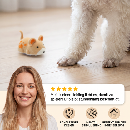 Interaktiver Hamster Indoor Hundespielzeug