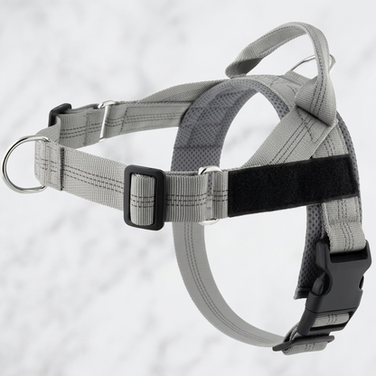 Individuell gestaltetes, reflektierendes No-Pull-Hundegeschirr mit personalisiertem Namensaufnäher