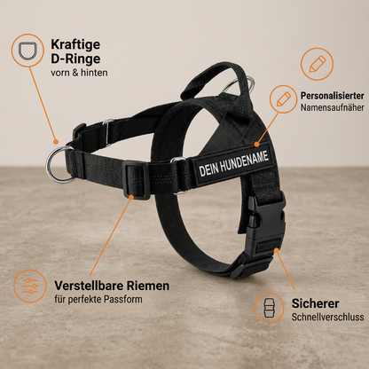Individuell gestaltetes, reflektierendes No-Pull-Hundegeschirr mit personalisiertem Namensaufnäher