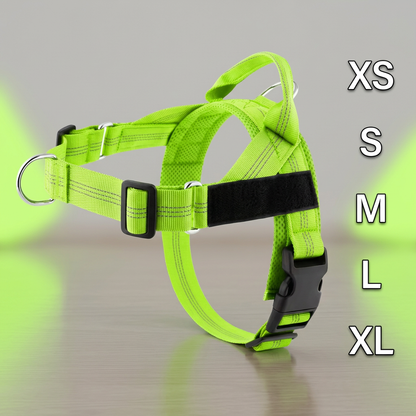 Individuell gestaltetes, reflektierendes No-Pull-Hundegeschirr mit personalisiertem Namensaufnäher