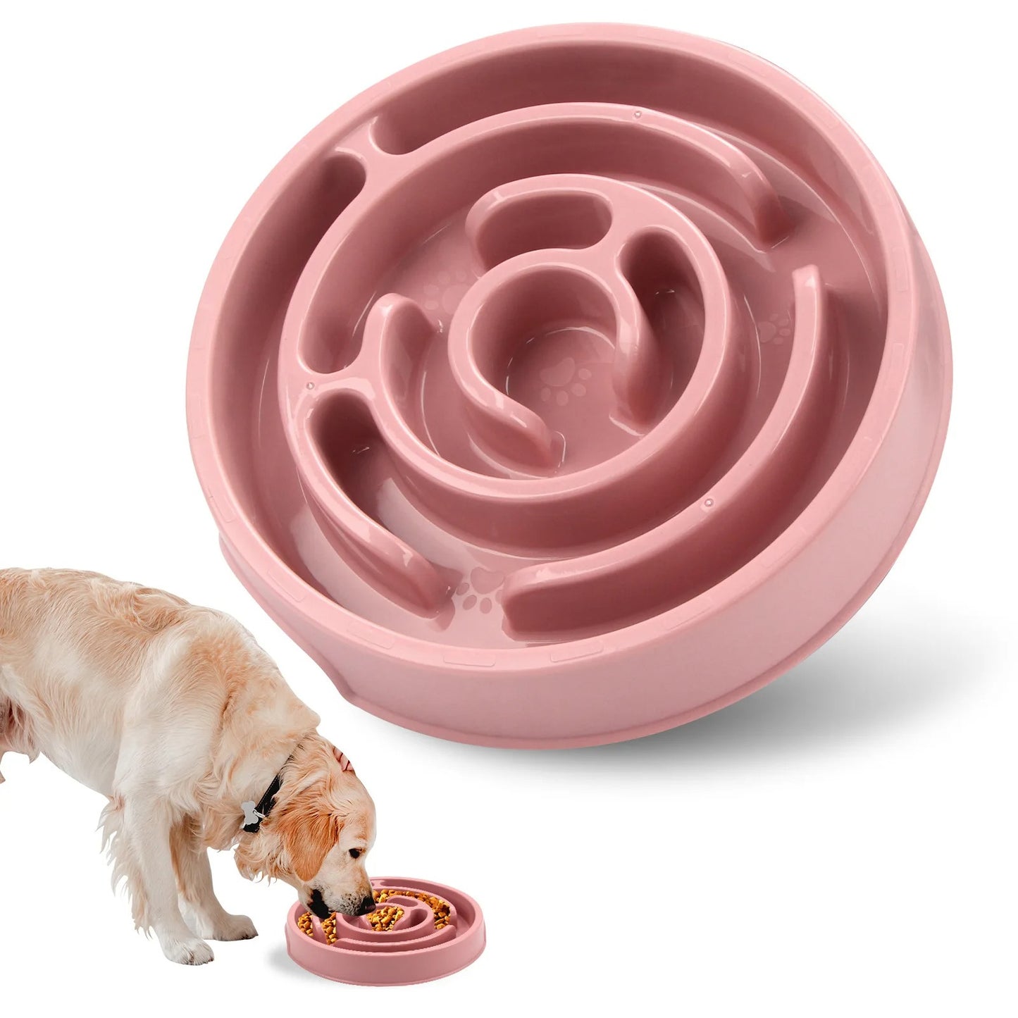 Slow Feed Napf