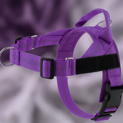Individuell gestaltetes, reflektierendes No-Pull-Hundegeschirr mit personalisiertem Namensaufnäher