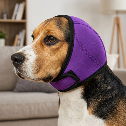 Schutz-Ohrenschützer für Hunde – geräuschdämpfend und angstmindernd
