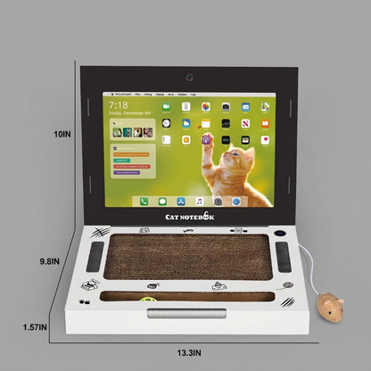Laptop-Katzenkratzer aus Pappe & interaktives Spielzeug