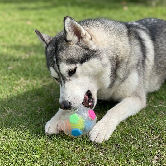 Robuster Spielzeug Ball zum Stressabbau für Hunde