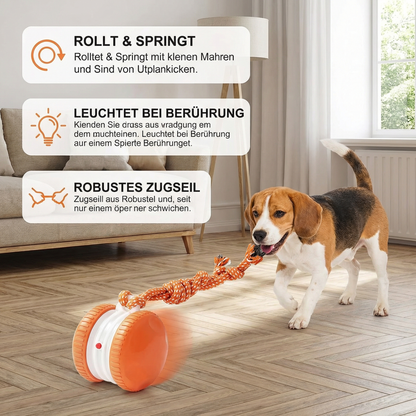 Interaktiver & Robuster Hundeball – Bewegungsspielzeug mit Zugseil in Hundefarben