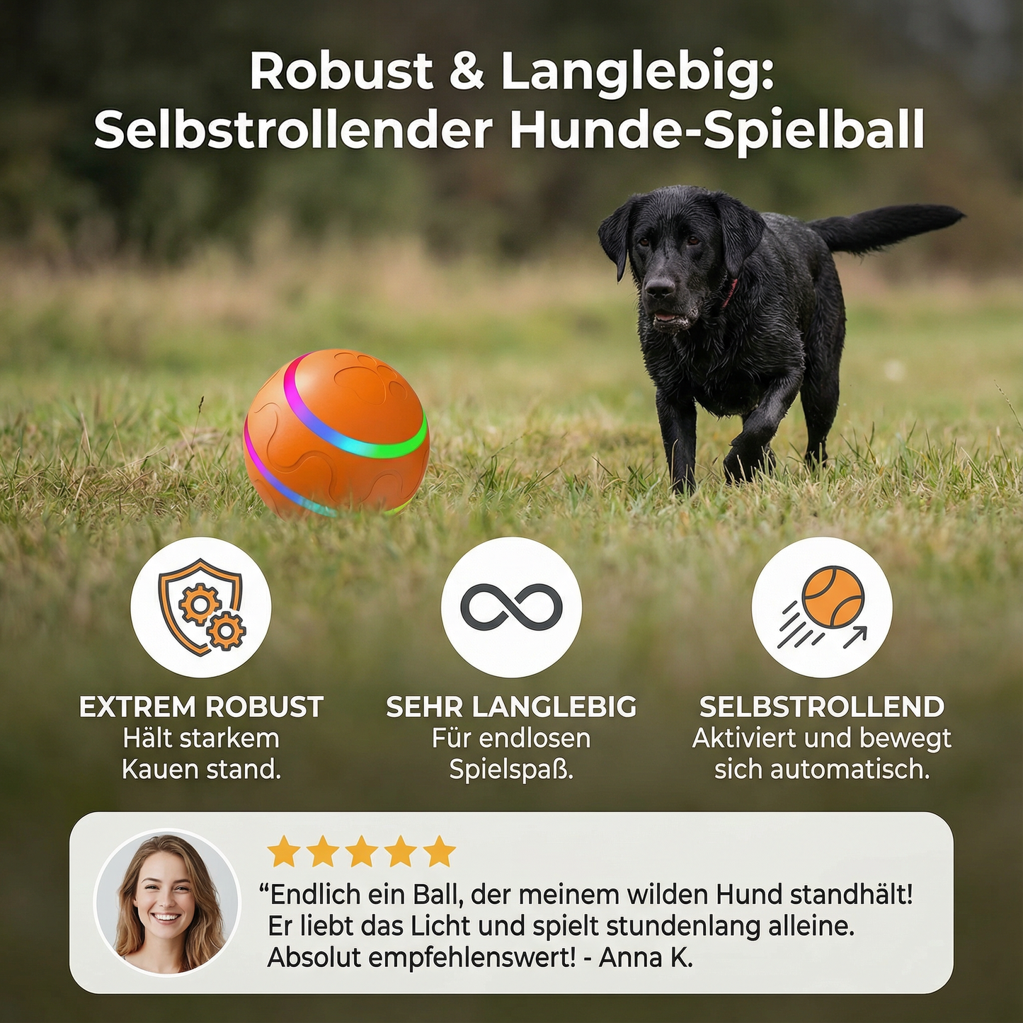 Robuster und Langlebiger Selbstrollender Hunde Spielball