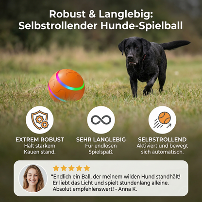 Robuster und Langlebiger Selbstrollender Hunde Spielball