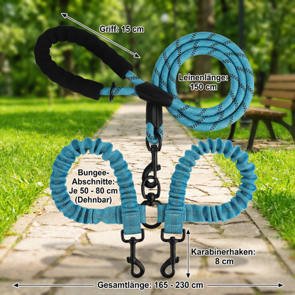 2-in-1 Hunde-Doppelleine mit 360° Drehgelenk – Verhedderungsfrei & Stoßdämpfend