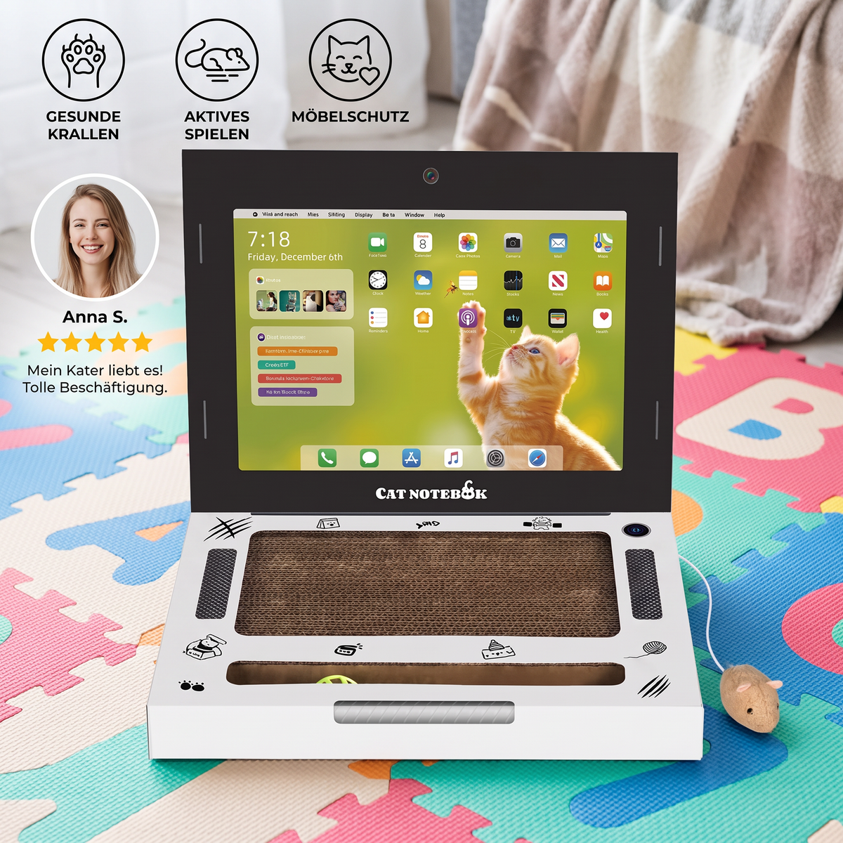 Laptop-Katzenkratzer aus Pappe & interaktives Spielzeug