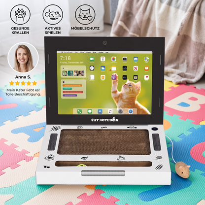 Laptop-Katzenkratzer aus Pappe & interaktives Spielzeug